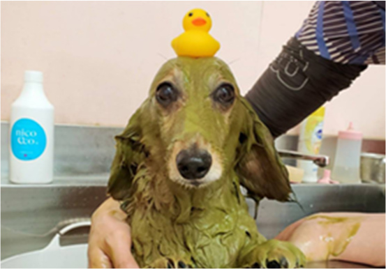 わんちゃんハーブパック